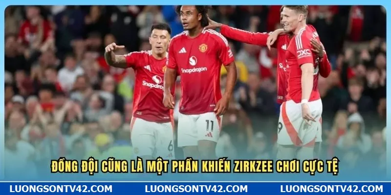 Số Liệu Thống Kê Về Joshua Zirkzee - Manucians Bất Mãn 8 Đồng đội cũng là một phần khiến Zirkzee chơi cực tệ