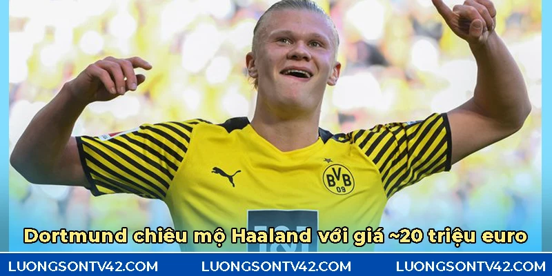 Erling Haaland – Chân sút hủy diệt và hành trình trở thành "quái vật" NHA 6 Ở Borussia Dortmund, Haaland đã thể hiện được tài năng của mình