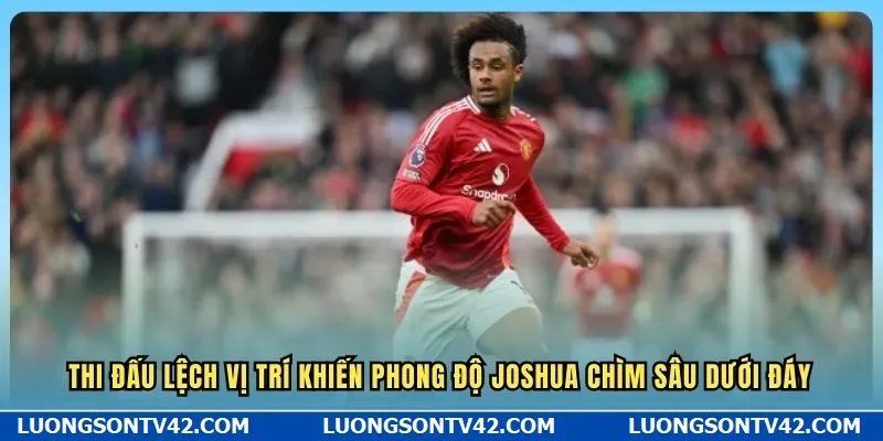 Số Liệu Thống Kê Về Joshua Zirkzee - Manucians Bất Mãn 7 Thi đấu lệch vị trí khiến phong độ Joshua chìm sâu dưới đáy