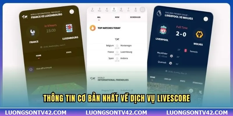 LiveScore 9 Thông tin cơ bản nhất về dịch vụ Livescore