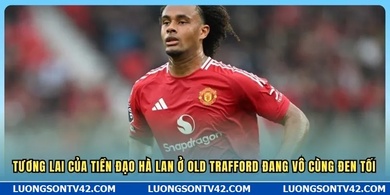 Số Liệu Thống Kê Về Joshua Zirkzee - Manucians Bất Mãn 9 Tương lai của tiền đạo Hà Lan ở Old Trafford đang vô cùng đen tối